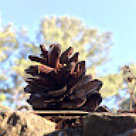 Underpaid_Goldminer