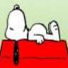 engineersnoopy