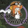 SkyRaider
