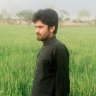 saaiim