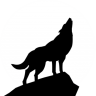 akaSkyWolf