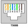 81vee
