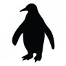 TwentyØnePenguins