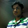 bugs884