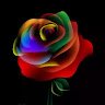 Jibran006