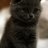 izzy2004
