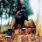 Eng_arnold